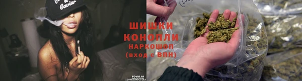 гидра Алексеевка