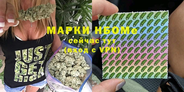 гидра Алексеевка