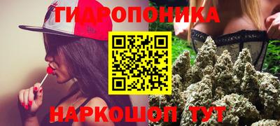 хмурый Кингисепп