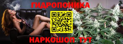 хмурый Кингисепп