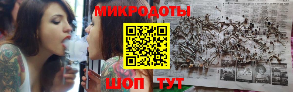 Галлюциногенные грибы Psilocybe Лосино-Петровский