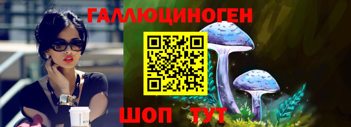 Галлюциногенные грибы Psilocybine cubensis  Вход с VPN  что такое наркотик  Псилоцибиновые грибы мухоморы  Лосино-Петровский 